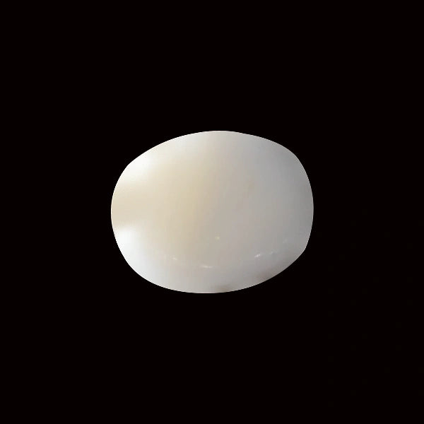 White Coral - 5.53 carats