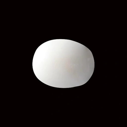 White Coral - 5.53 carats