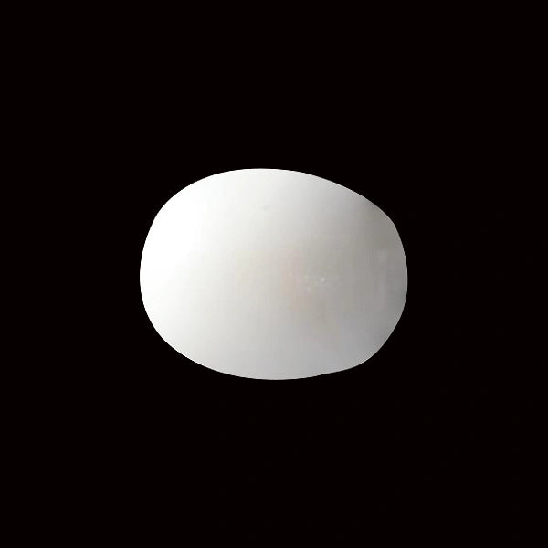 White Coral - 5.53 carats