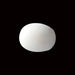 White Coral - 5.53 carats