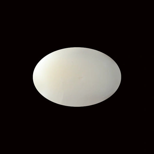 White Coral - 5.53 carats