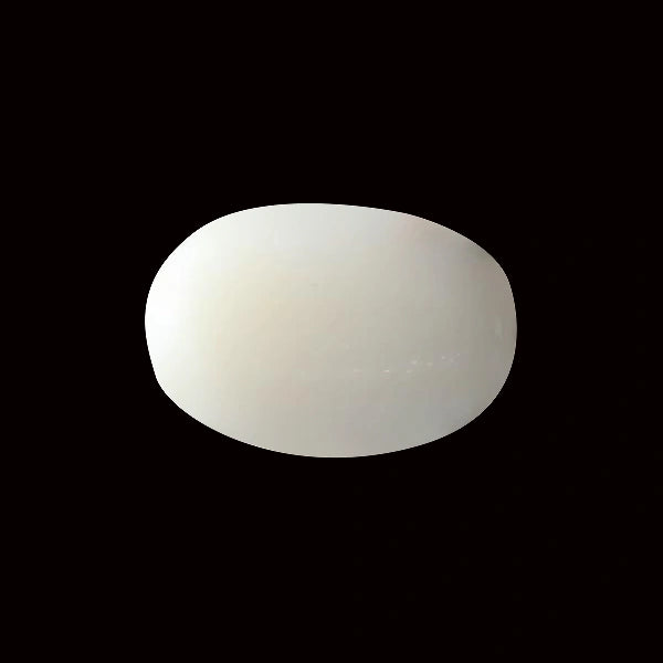 White Coral - 5.53 carats