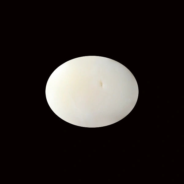 White Coral - 5.54 carats