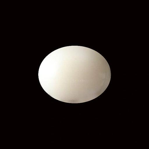 White Coral - 5.54 carats