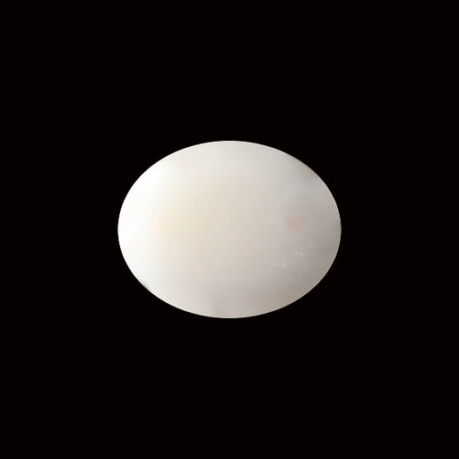 White Coral - 5.58 carats