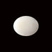 White Coral - 5.58 carats