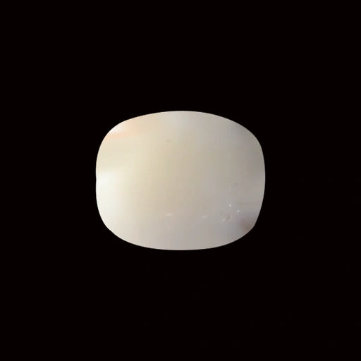 White Coral - 5.69 carats