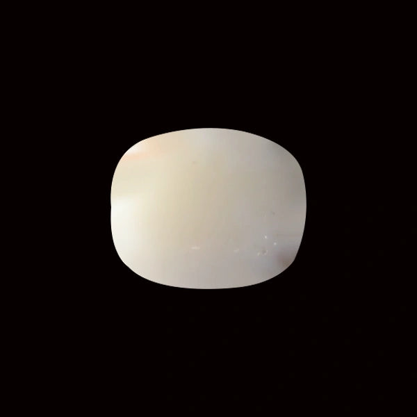 White Coral - 5.69 carats
