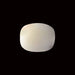 White Coral - 5.69 carats
