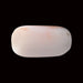 White Coral - 5.83 carats