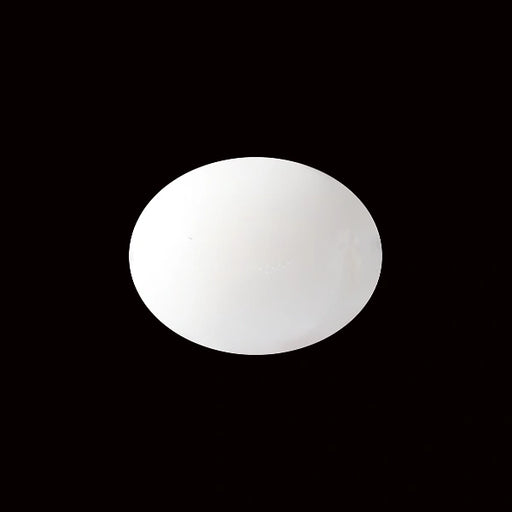 White Coral - 5.84 carats