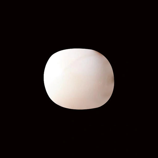 White Coral - 6.05 carats