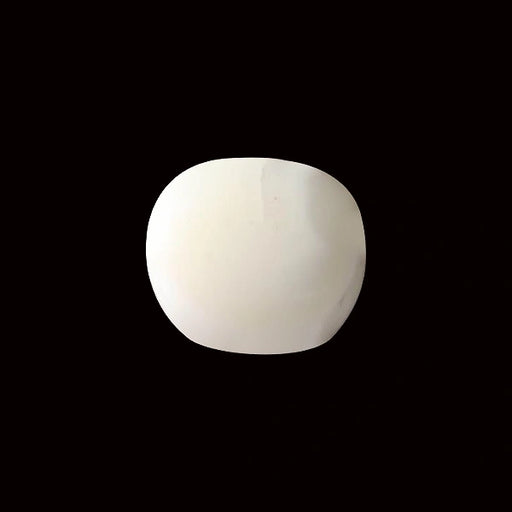 White Coral - 6.88 carats