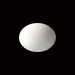 White Coral - 6.00 carats