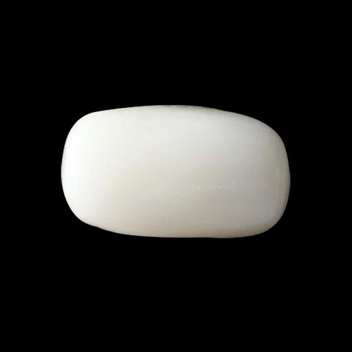 White Coral - 3.04 carats