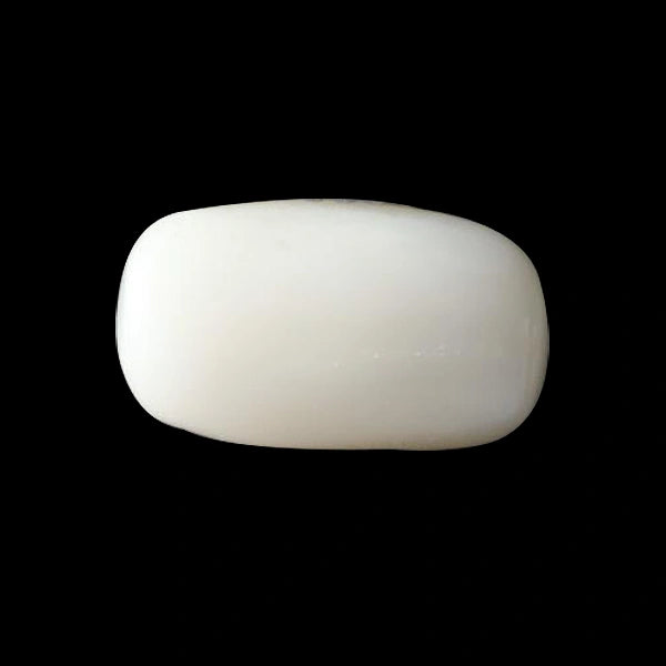 White Coral - 3.04 carats