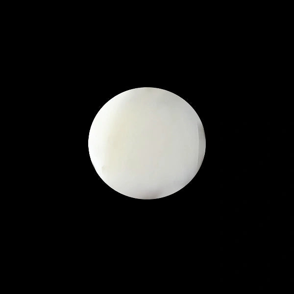 White Coral - 3.27 carats