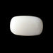 White Coral - 3.32 carats