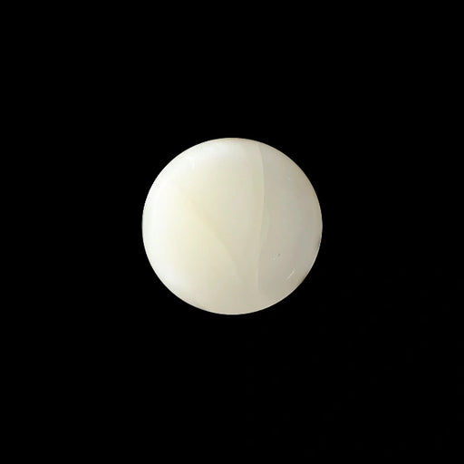 White Coral - 3.33 carats