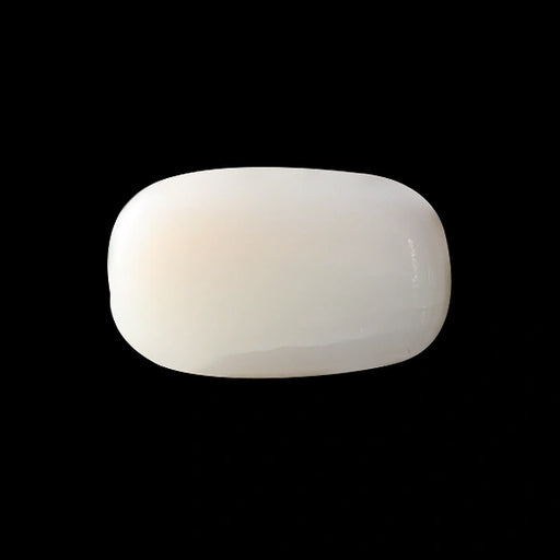 White Coral - 3.48 carats
