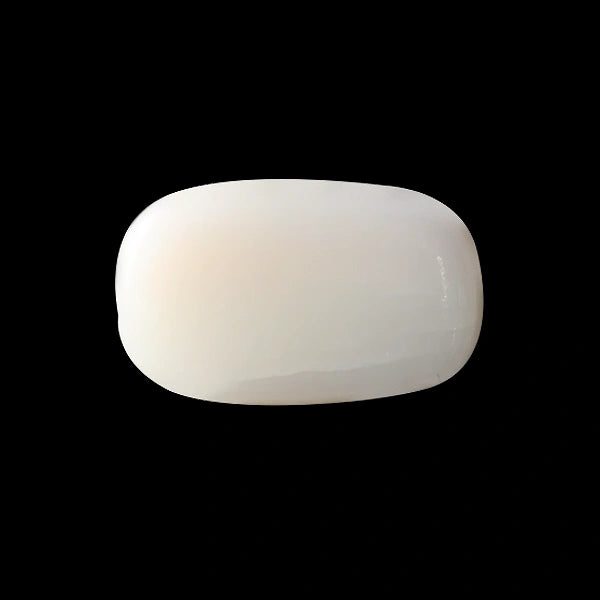 White Coral - 3.48 carats