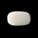 White Coral - 3.48 carats
