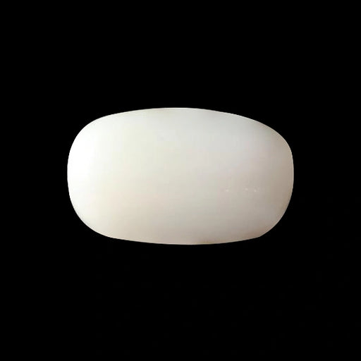 White Coral - 3.48 carats