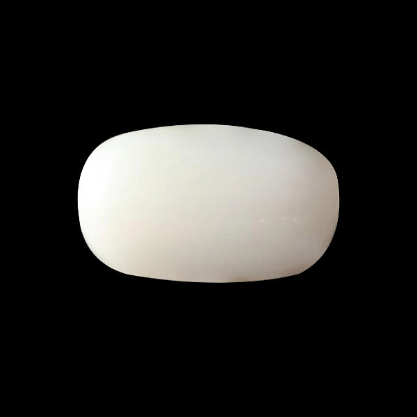 White Coral - 3.48 carats
