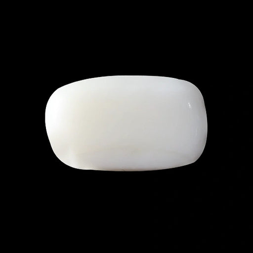 White Coral - 3.72 carats