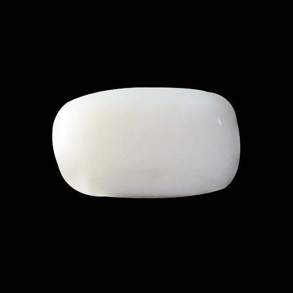 White Coral - 3.72 carats