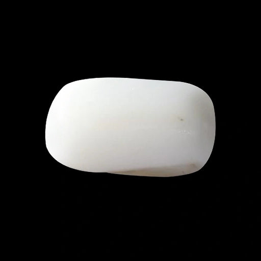 White Coral - 3.72 carats