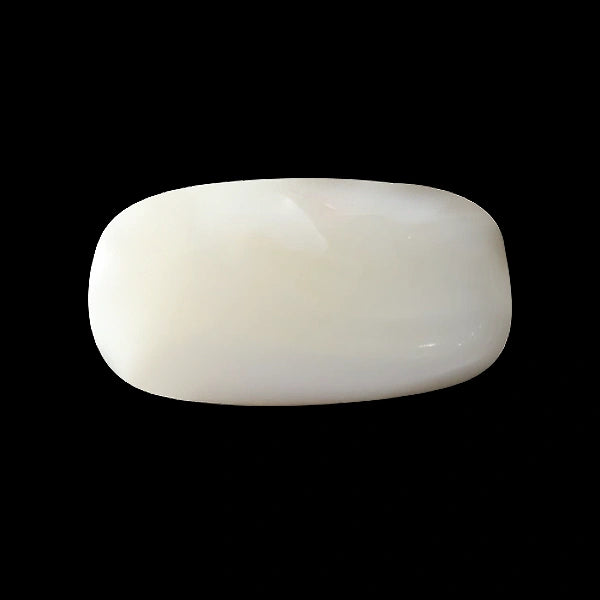 White Coral - 3.73 carats
