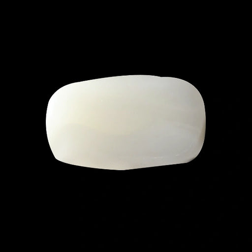 White Coral - 3.78 carats