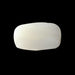 White Coral - 3.78 carats