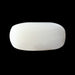 White Coral - 3.90 carats