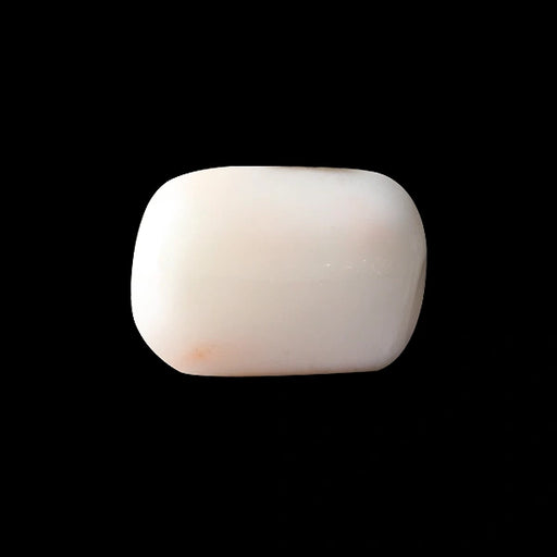 White Coral - 3.96 carats