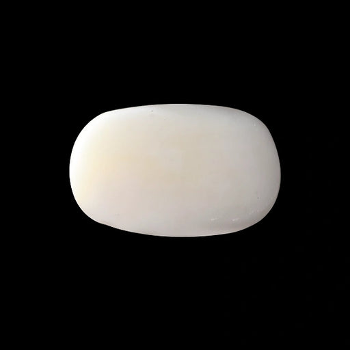 White Coral - 4.20 carats