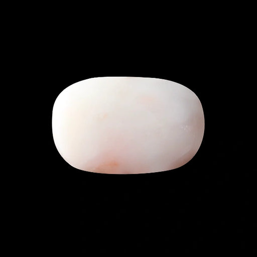 White Coral - 4.38 carats