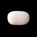 White Coral - 4.38 carats