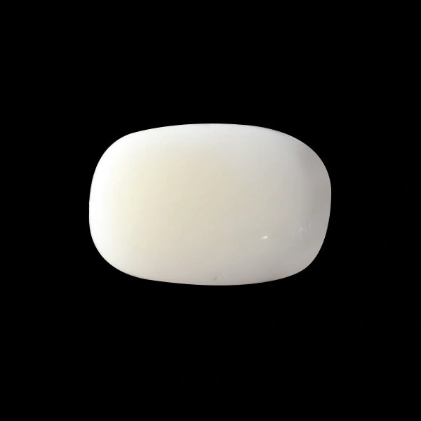 White Coral - 4.75 carats