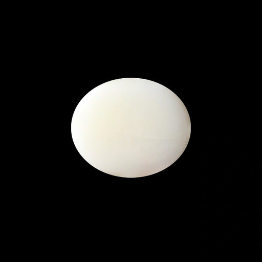 White Coral - 5.04 carats