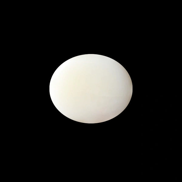White Coral - 5.04 carats