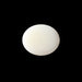 White Coral - 5.04 carats