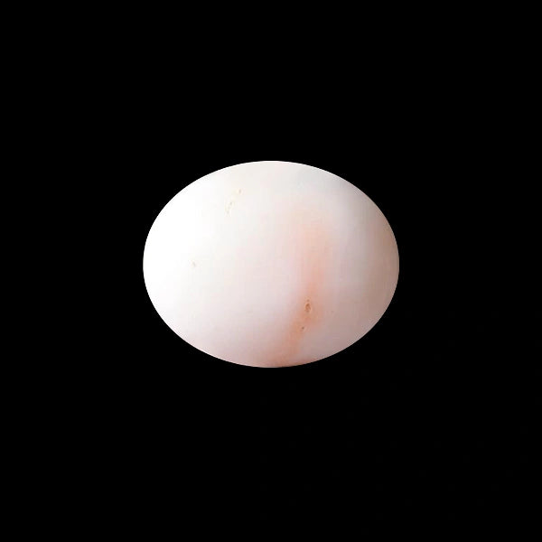 White Coral - 5.93 carats