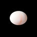 White Coral - 5.93 carats