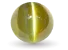 Cat Eye