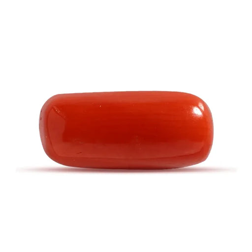 Red Coral - 2.07 carats