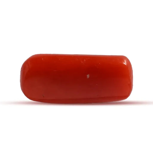 Red Coral - 2.4 carats