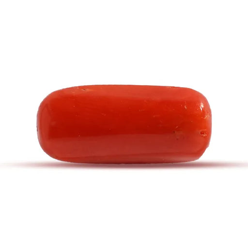 Red Coral - 2.4 carats