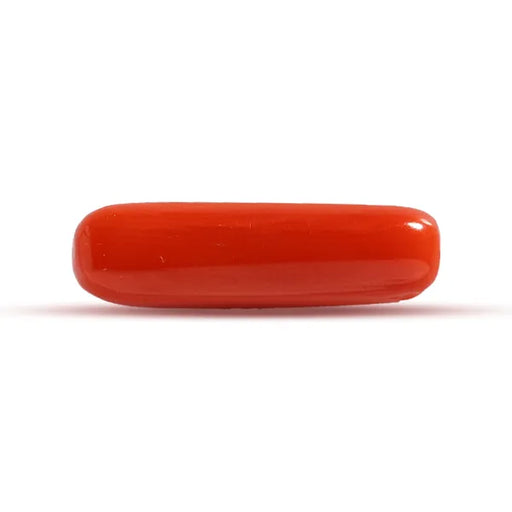 Red Coral - 3.11 carats